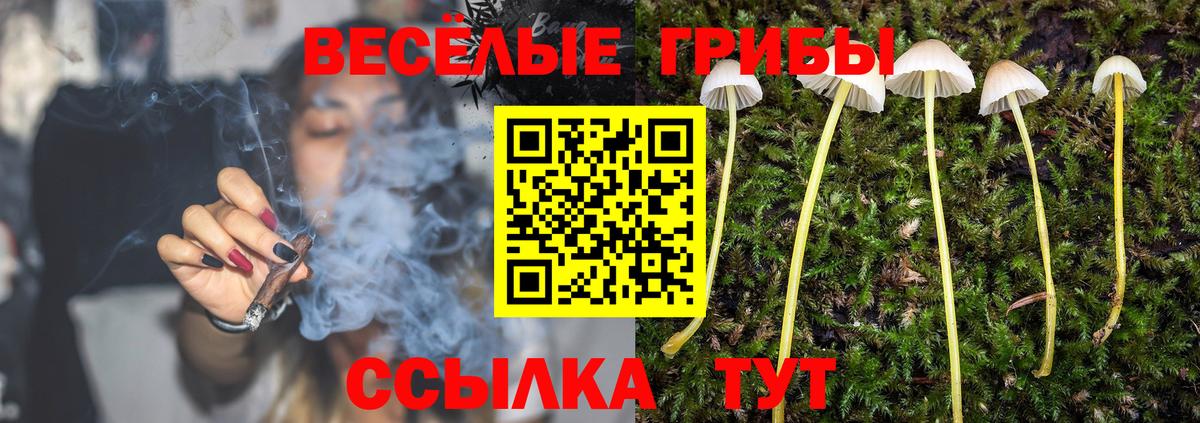 Псилоцибиновые грибы прущие грибы Нягань